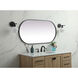 Asha 48 X 24 inch Black Mirror in 24 x 48