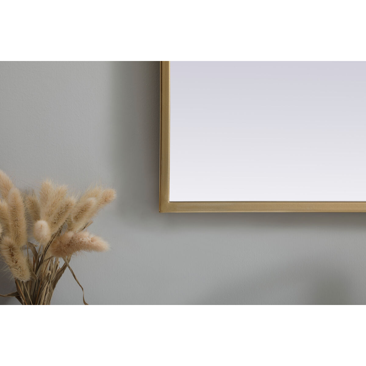 Ayra 40 X 24 inch Brass Mirror in 24 x 40