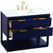 Larkin 42 X 22 X 34 inch Blue Vanity Sink Set