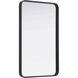 Remy 36 X 22 inch Black Mirror
