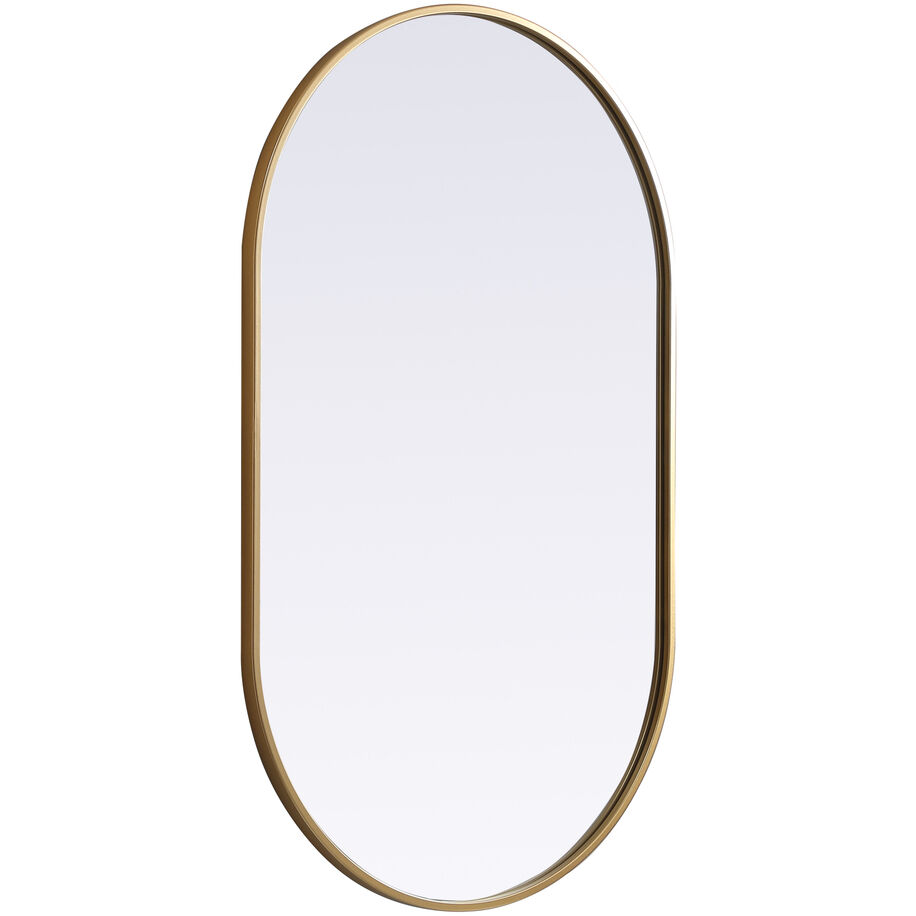Asha 40 X 24 inch Brass Mirror in 24 x 40