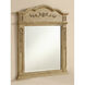 Danville 38 X 32 inch Antique Beige Wall Mirror in Antique Bronze