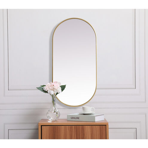 Asha 48 X 24 inch Brass Mirror in 24 x 48