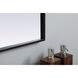 Ayra 33 X 24 inch Black Mirror