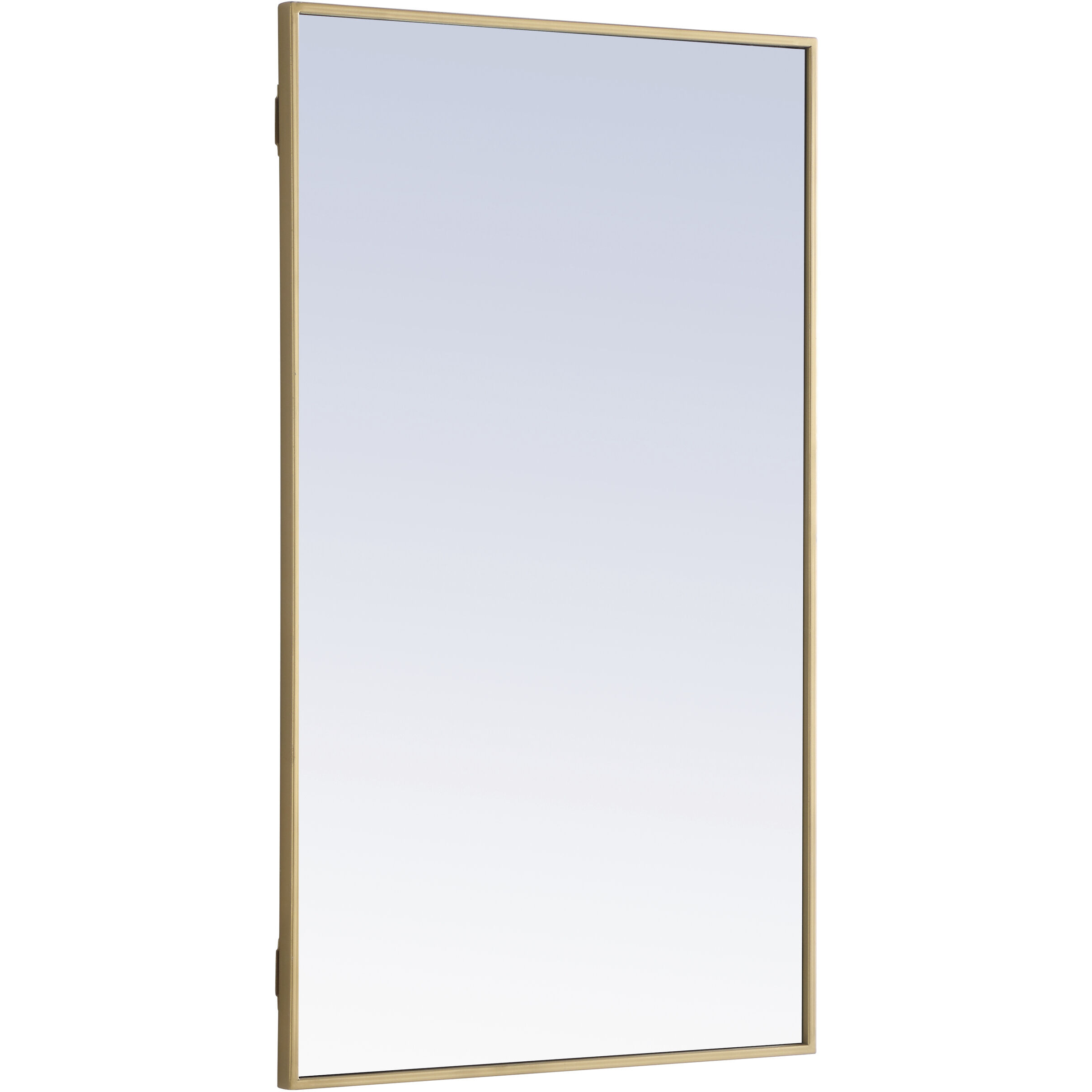 Monet 40 X 24 inch Brass Wall Mirror