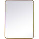Evermore 36 X 27 inch Brass Mirror