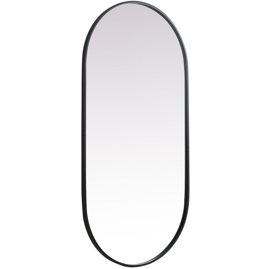 Asha 48 X 24 inch Black Mirror in 24 x 48