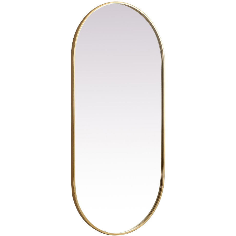 Asha 48 X 24 inch Brass Mirror in 24 x 48