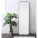 Evermore 60 X 18 inch Brass Mirror