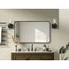 Remy 36 X 22 inch Black Mirror
