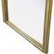 Naomi 60 X 24 inch Antique Brass Mirror
