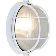 Outdoor Ceiling Lights