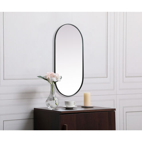 Asha 48 X 24 inch Black Mirror in 24 x 48