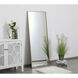 Monet 60 X 24 inch Brass Wall Mirror