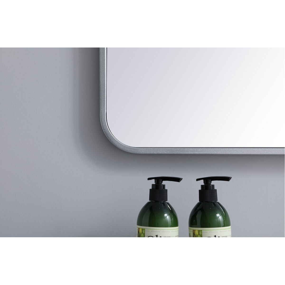 Evermore 32 X 24 inch Silver Mirror