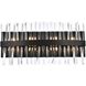 Serephina 8 Light 24 inch Black Bath Sconce Wall Light