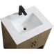 Ira 24 X 34 inch Walnut Brown Bathroom Vanity Cabinet