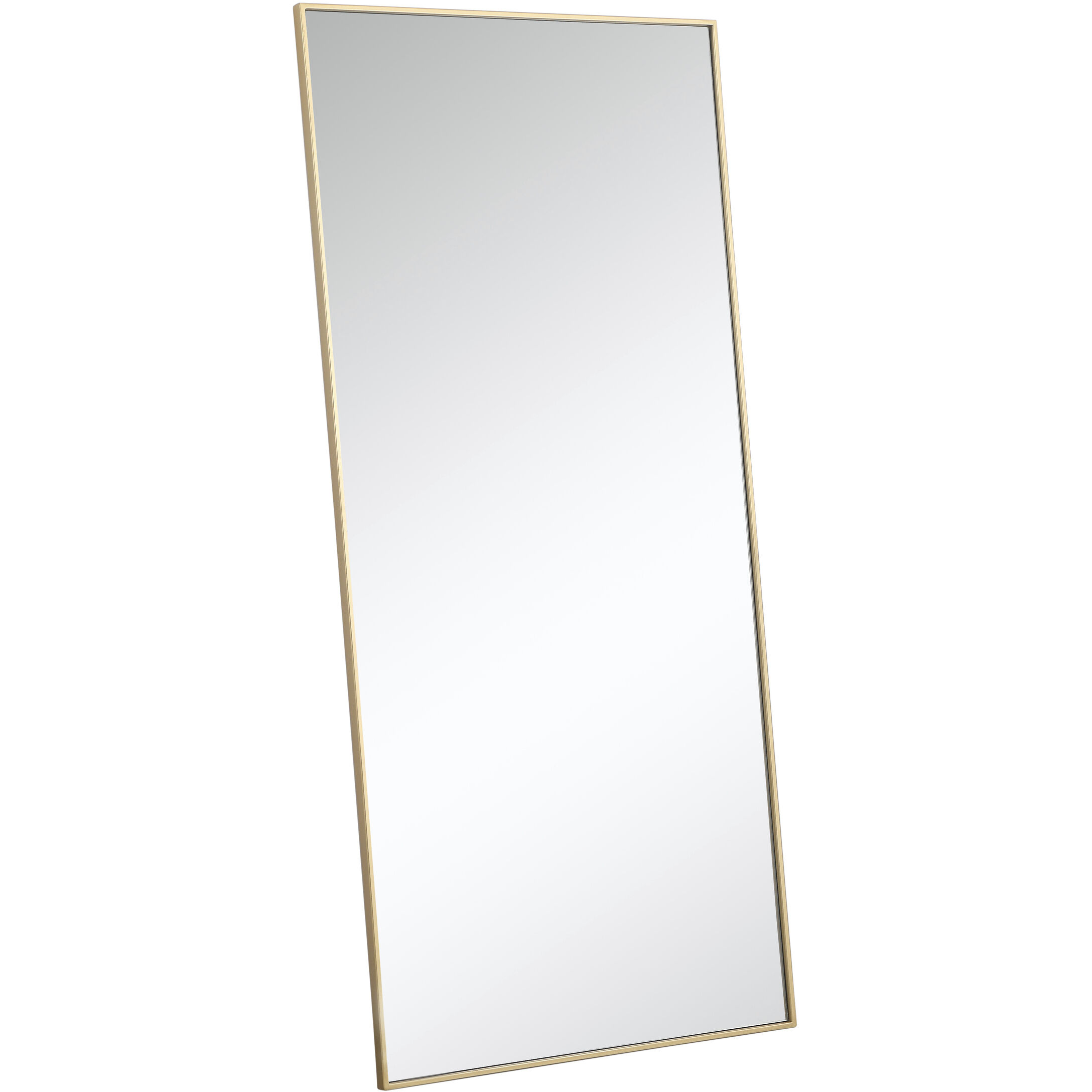 Monet 60 X 30 inch Brass Wall Mirror