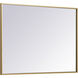 Monet 36 X 27 inch Brass Wall Mirror