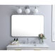 Evermore 40 X 27 inch Silver Mirror