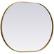 Asha 36 X 27 inch Brass Mirror in 27 x 36