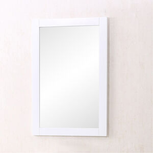 Danville 32 X 22 inch White Wall Mirror, Rectangle