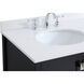 Irene 42 X 22 X 34 inch Black Vanity Sink Set