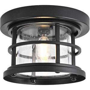 Carla 1 Light 8.00 inch Outdoor Ceiling Light