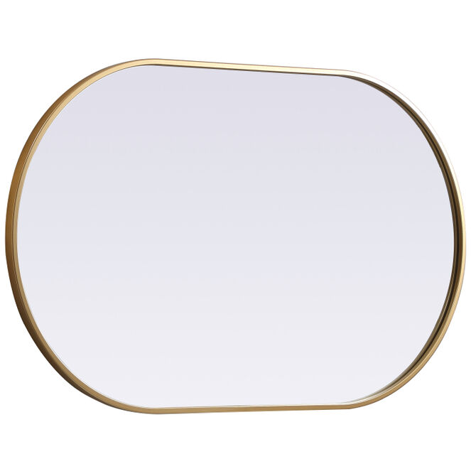 Asha 40 X 24 inch Brass Mirror in 24 x 40