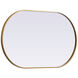 Asha 40 X 24 inch Brass Mirror in 24 x 40