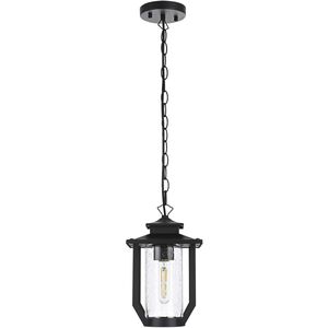 Sepviva 1 Light 7 inch Black Outdoor Pendant