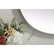 Brynn 40 X 27 inch Silver Mirror in 27 x 40