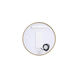 Pier 24 X 24 inch Brass LED Mirror