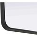 Remy 40 X 30 inch Black Mirror