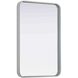 Remy 30 X 20 inch Silver Mirror