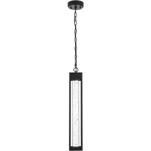 Amaris 1 Light 4 inch Black Outdoor Pendant