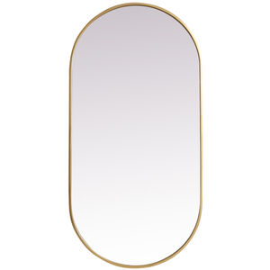 Asha 48 X 24 inch Brass Mirror in 24 x 48