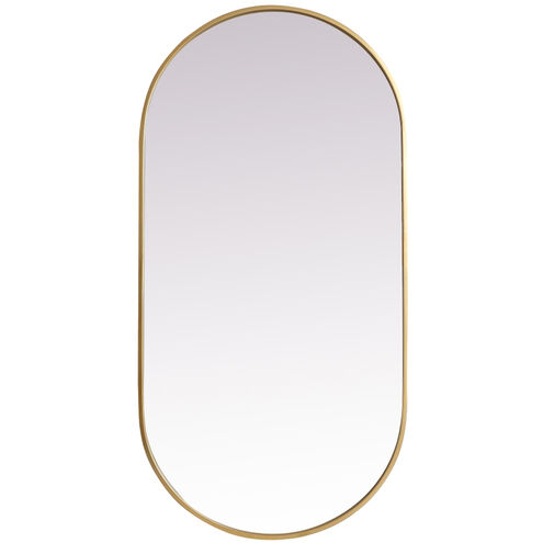 Asha 48 X 24 inch Brass Mirror in 24 x 48