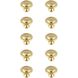 Garlande Brushed Gold Hardware Cabinet Knob, Set of 10