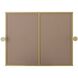 Amoura 30 X 24 inch Brass Mirror