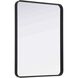Remy 36 X 27 inch Black Mirror