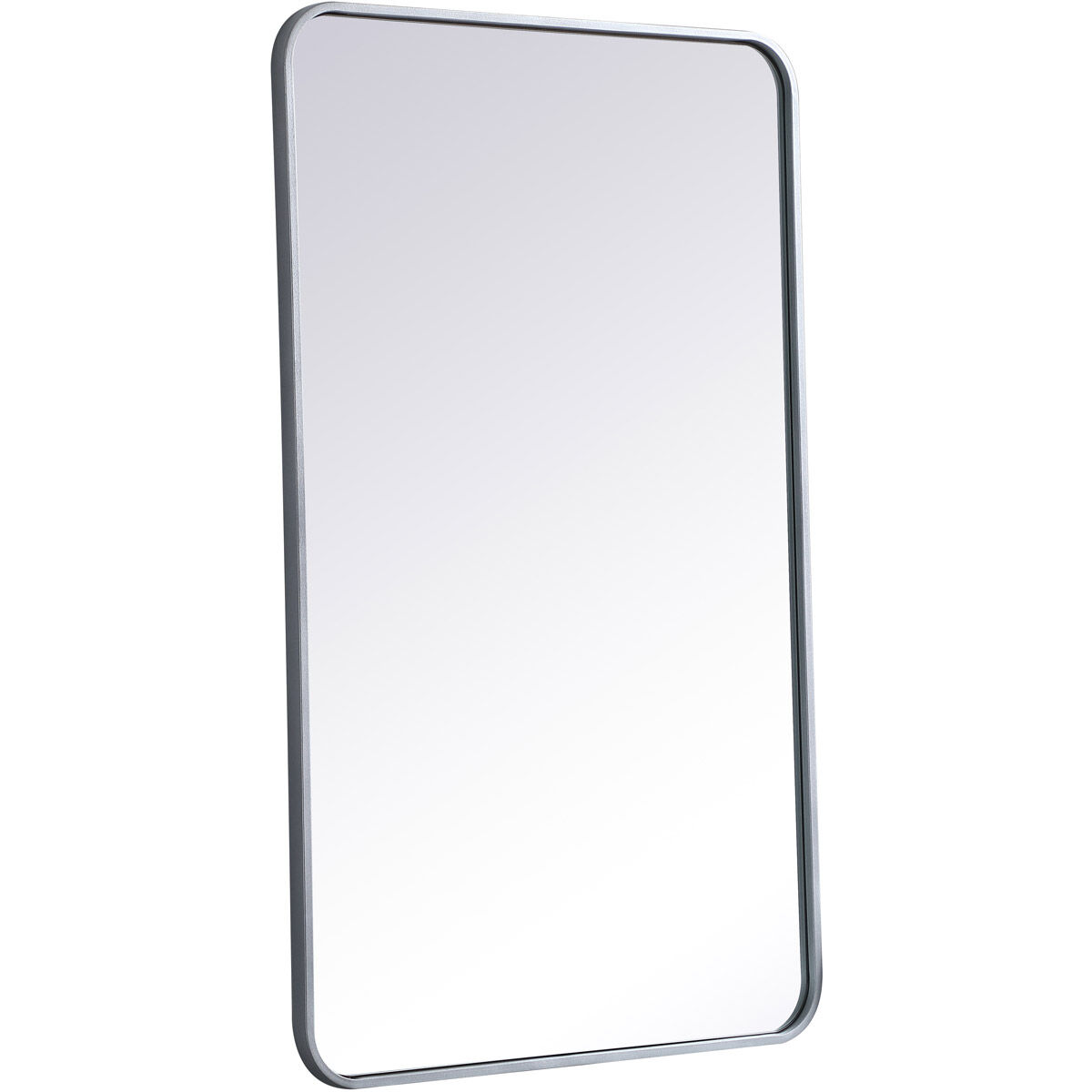 Evermore 40 X 24 inch Silver Mirror