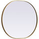 Asha 36 X 30 inch Brass Mirror in 30 x 36