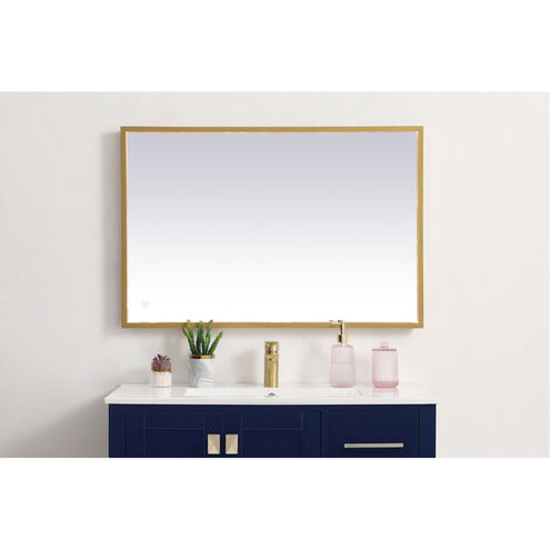 Pier 40 X 20 inch Brass LED Mirror