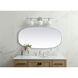 Brynn 48 X 24 inch Silver Mirror in 24 x 48