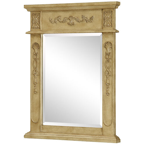 Vanity 28 X 22 inch Antique Beige Wall Mirror