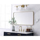 Evermore 40 X 22 inch Brass Mirror