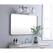 Evermore 40 X 24 inch Silver Mirror