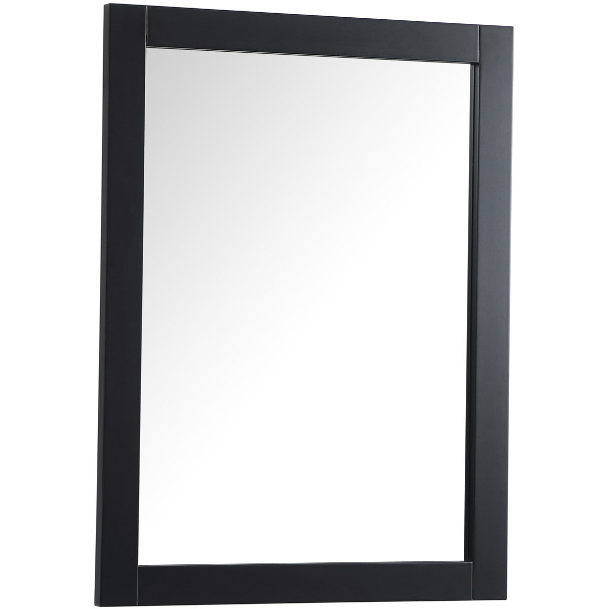 Aqua 36 X 27 inch Black Vanity Mirror