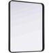 Remy 36 X 30 inch Black Mirror